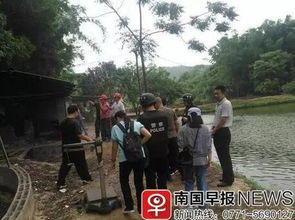 廣西武鳴 甘圩分別搗毀病死豬屠宰窩點(diǎn) 曾私宰病豬,豬肉銷往周邊市場(chǎng)