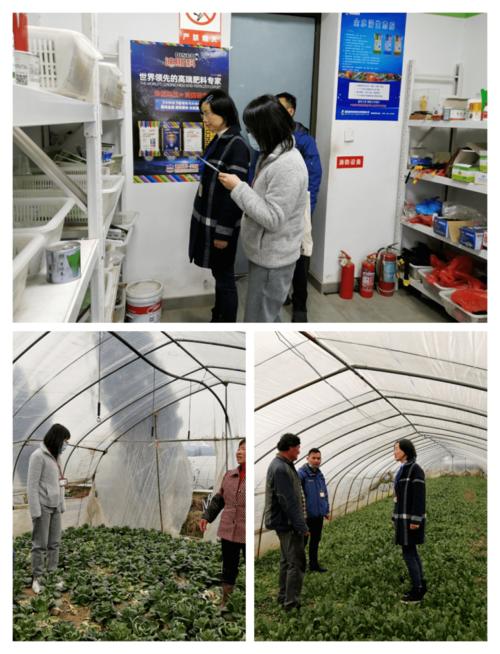 縣農業綜合行政執法大隊三組聯動 靶向發力護航農業生產安全